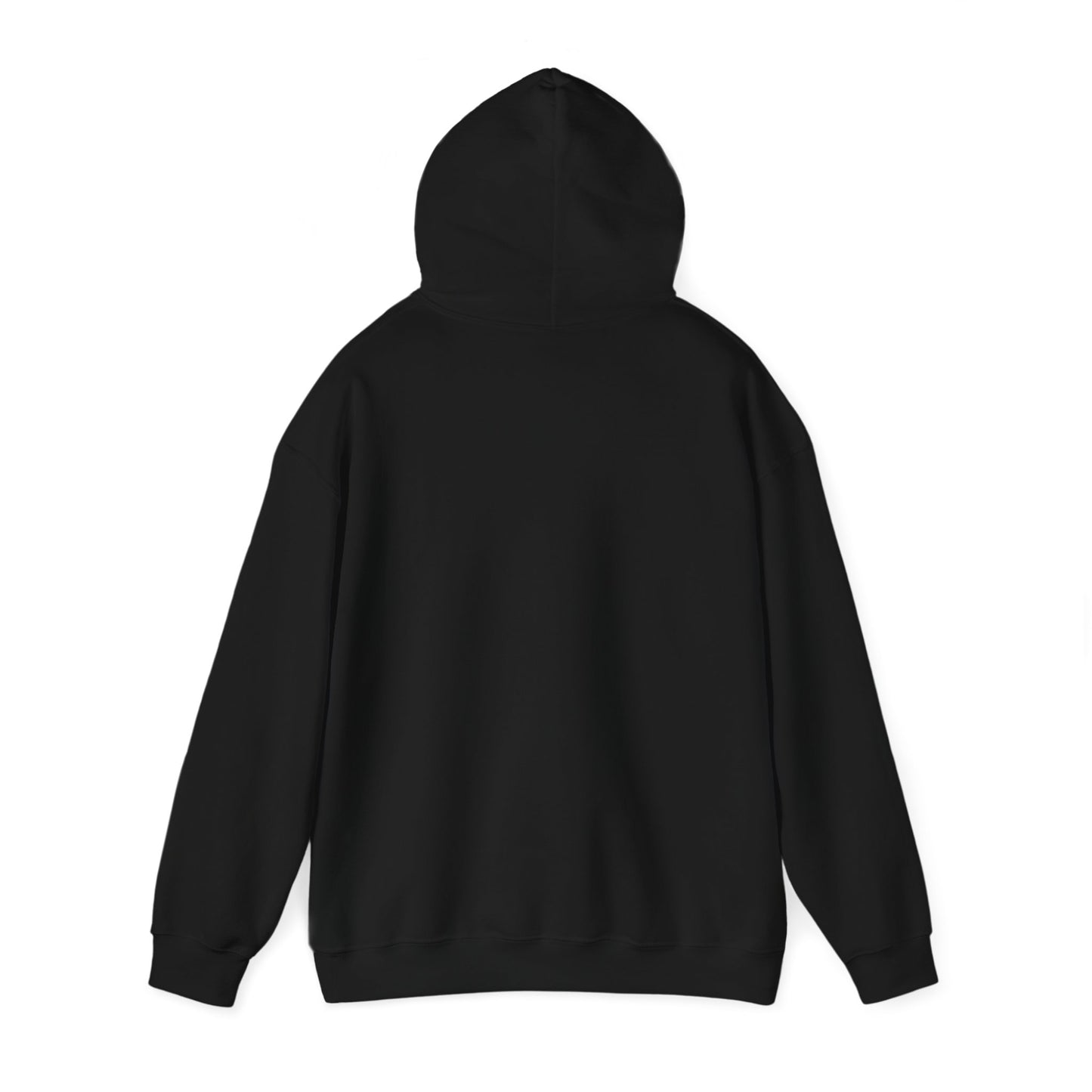 CASUAL EVERYDAY WEAR HOODIE UNISEX FASHION SPORT