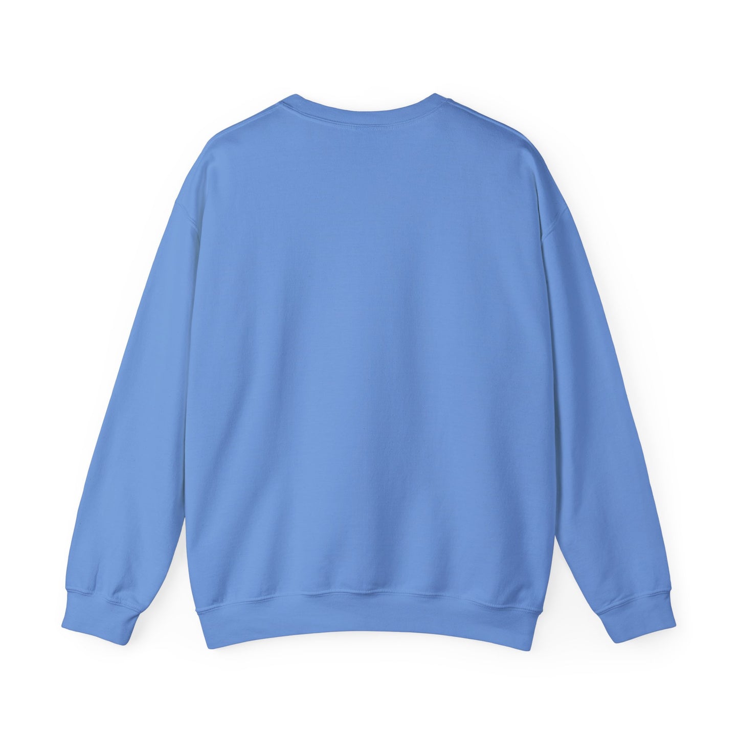 CASUAL EVERYDAY WEAR CREWNECK SWEATSHIRT