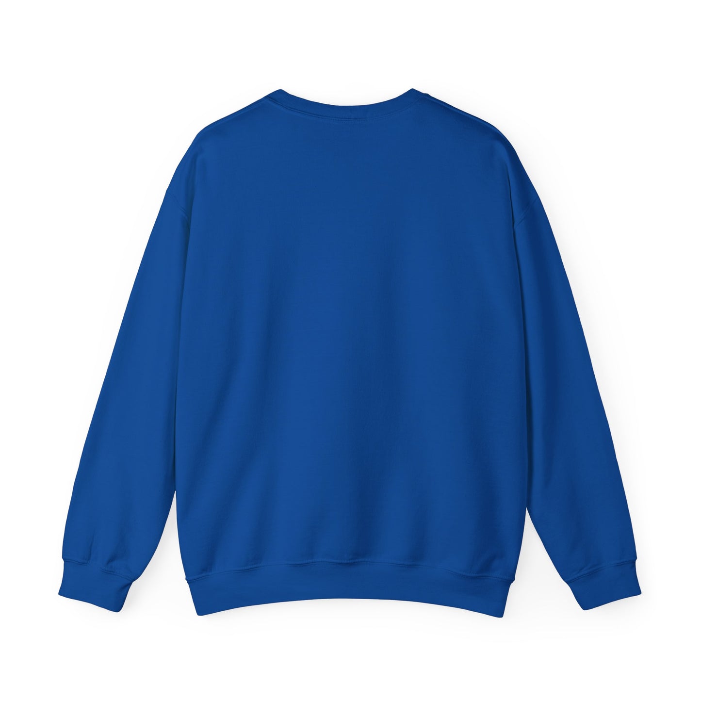 CASUAL EVERYDAY WEAR CREWNECK SWEATSHIRT