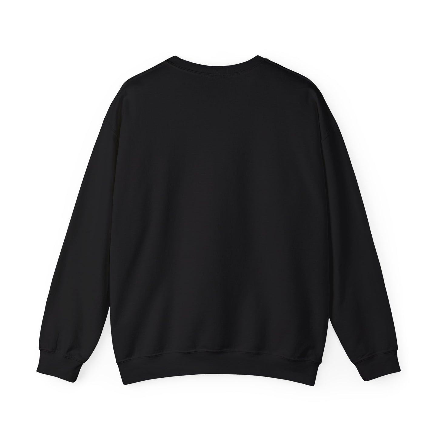 CASUAL EVERYDAY WEAR CREWNECK SWEATSHIRT